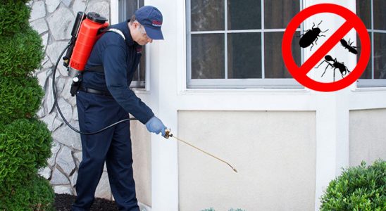 Alucra Fare İlaçlama böcek ilaçlama ve haşere kontrolü — ilaclama-tr.com